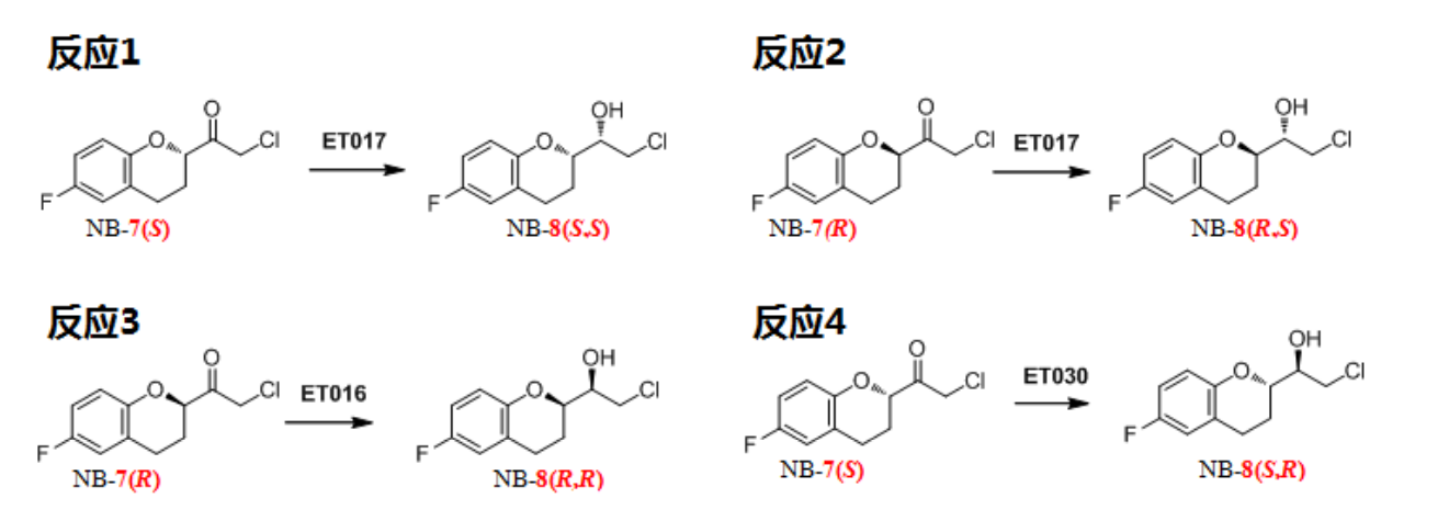 原兒茶酸圖片.png